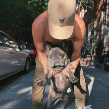 Load image into Gallery viewer, Frenchie Cap Nude